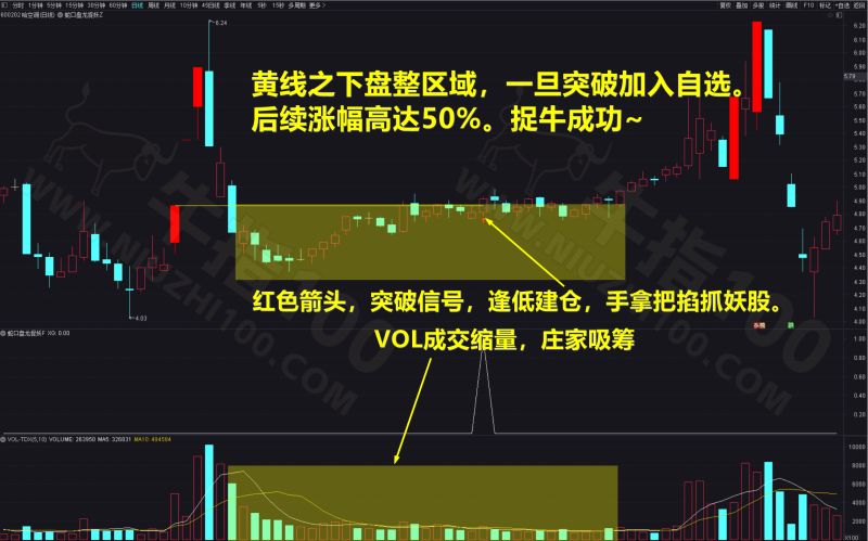 「金钻指标」通达信-蛇口盘龙捉妖令-主副图选股指标 2025至5月捉妖胜率100%